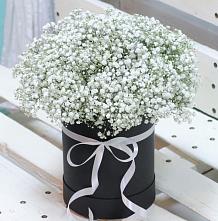 Цветочная композиция из Гипсофила в шляпной коробке #REPLACE_PRED# Осиново Татарстан